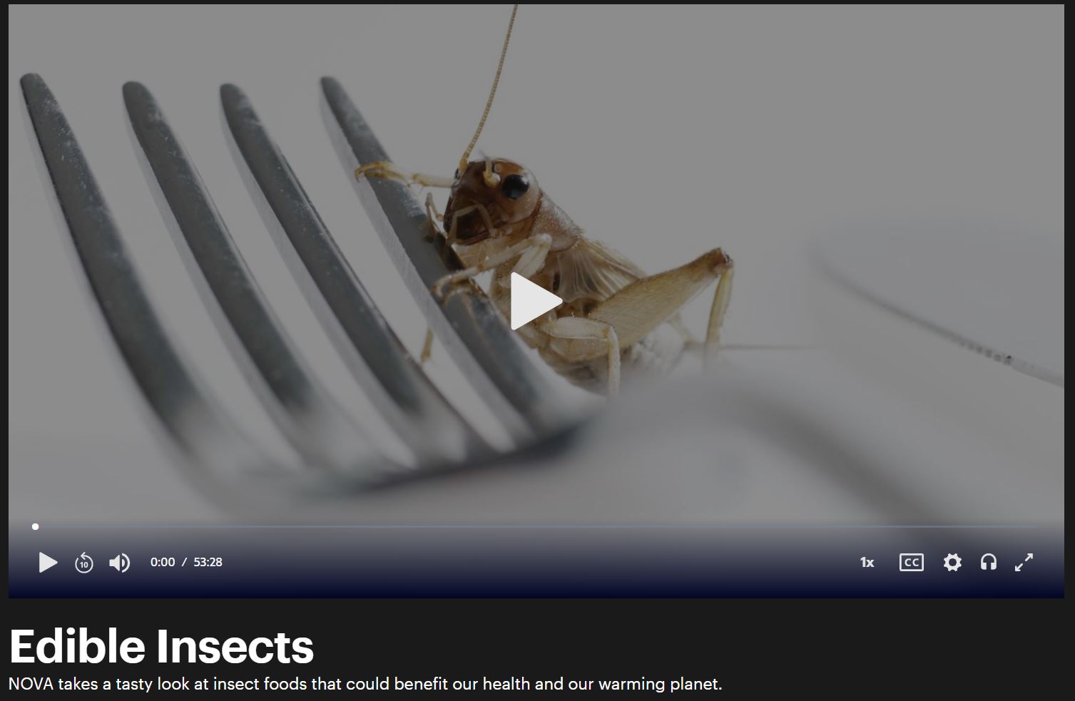 A screenshot from the PBS NOVA: Edible Insects broadcast.